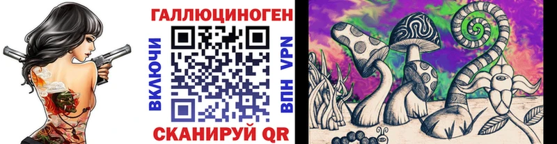 сколько стоит  Ладушкин  Галлюциногенные грибы MAGIC MUSHROOMS 